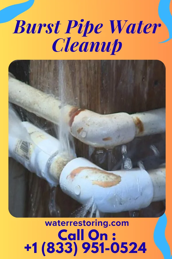 Burst Pipe Water Cleanup in Radcliffe, IA