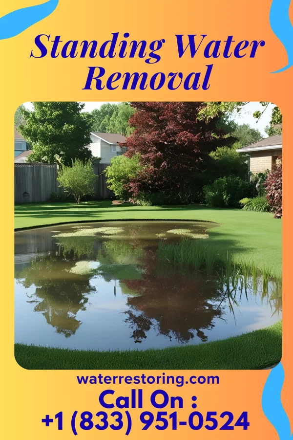 Standing Water Removal in Radcliffe, IA